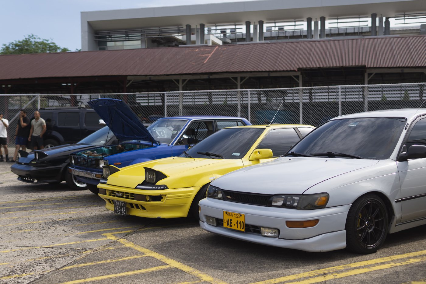 The Lineup